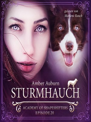 cover image of Sturmhauch, Episode 20--Fantasy-Serie